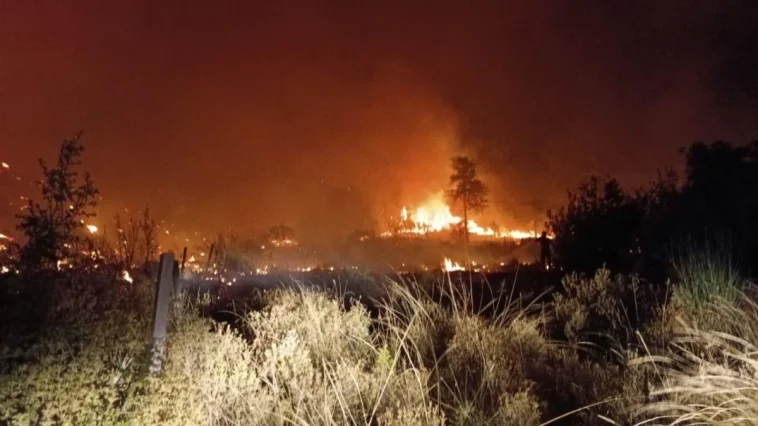 Serik’te orman yangını 5 saatte söndürüldü