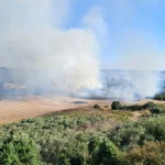 Serik'teki yangın büyümeden söndürüldü