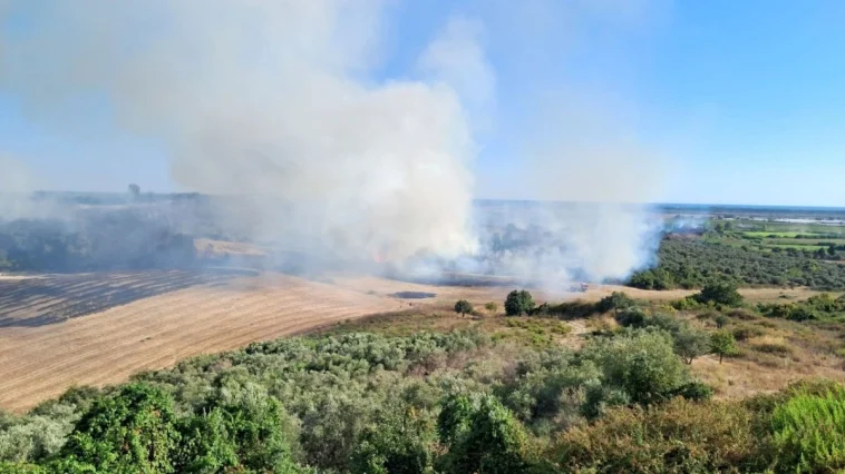 Serik'teki yangın büyümeden söndürüldü