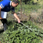 ASATtan usulsüz su kullanımına karşı sıkı denetim