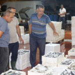 Akdenizde av yasağı kalktı; 1 kilo fiyatına 1 kasa balık