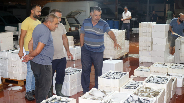 Akdenizde av yasağı kalktı; 1 kilo fiyatına 1 kasa balık