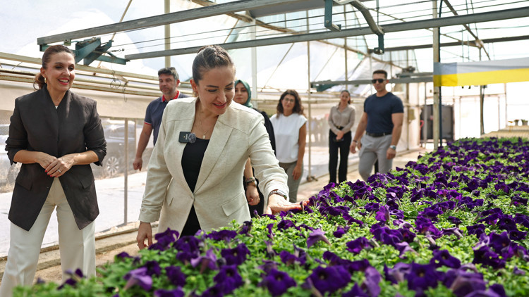 Başkan Vekili Özdemir bitki üretim tesisini gezdi