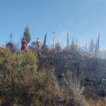 Manavgatta orman yangını söndürüldü
