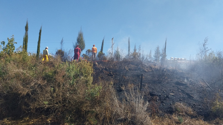 Manavgatta orman yangını söndürüldü