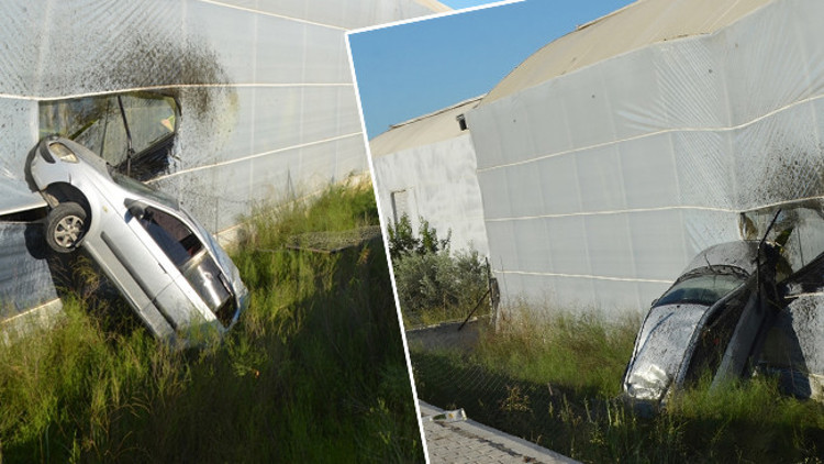 Yoldan çıkan otomobil muz serasına çarptı