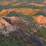 Serikteki orman yangınına ilişkin 1 gözaltı