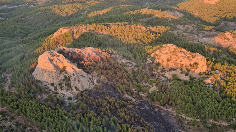 Serikteki orman yangınına ilişkin 1 gözaltı