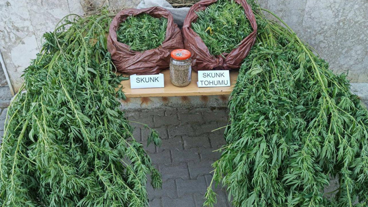 Korkutelide uyuşturucu operasyonu