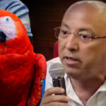 Papağan kararına tepki gösterdiler: 6 milyon avroya kadar zararımız var