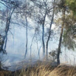 Manavgatta çıkan yangın kontrol altına alındı