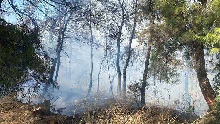 Manavgatta çıkan yangın kontrol altına alındı