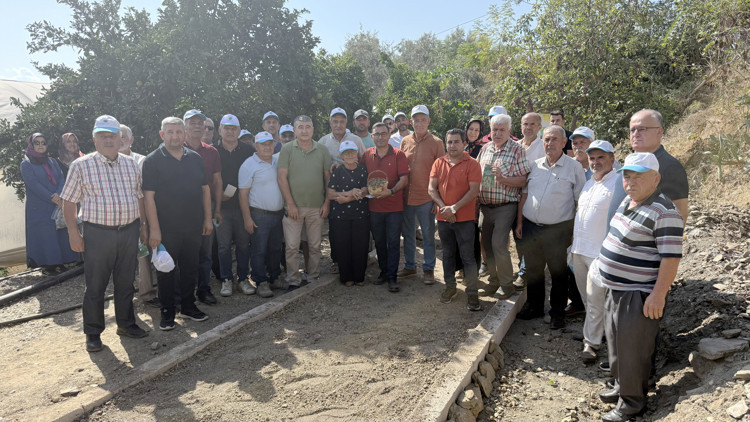 Alanyada salep üretiminde ilk adım