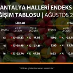Ağustos hal endeksi açıklandı