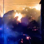 Ahırda yangınında 1 buzağı telef oldu