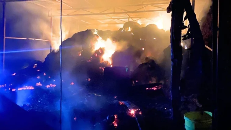 Ahırda yangınında 1 buzağı telef oldu