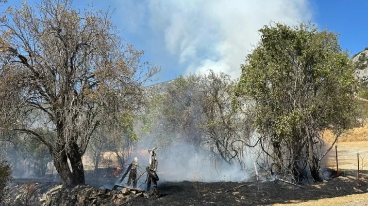 Akseki'deki yangın kontrol altına alındı
