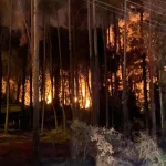 Aksu'daki yangın 2 saatte kontrol altına alındı