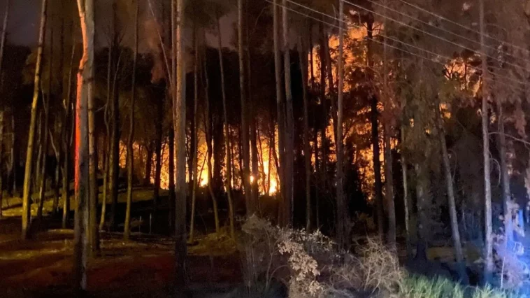 Aksu'daki yangın 2 saatte kontrol altına alındı