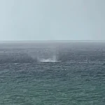 Alanya açıklarında oluşan hortum korkuttu