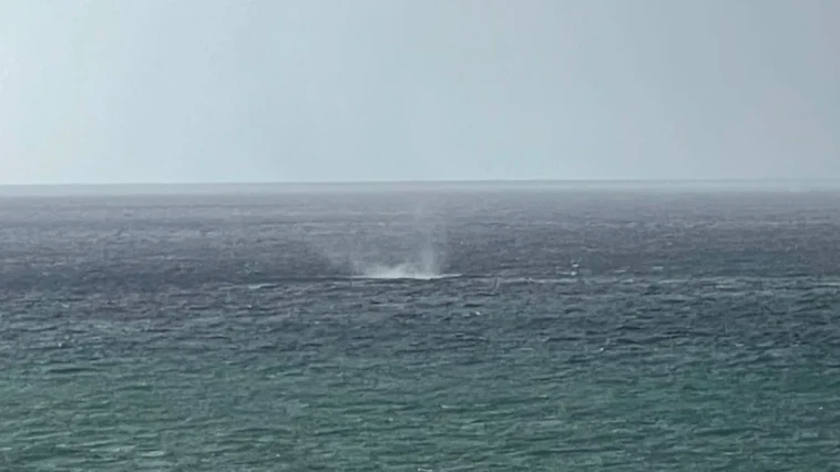 Alanya açıklarında oluşan hortum korkuttu