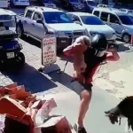 Alanya'da hayvana eziyet cezasız kalmadı