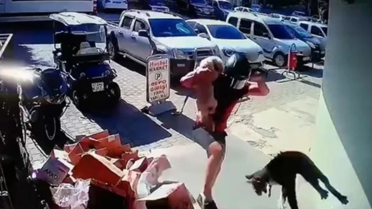 Alanya'da hayvana eziyet cezasız kalmadı