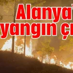 Alanya'da iki yangın çıktı