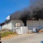 Alanya'da serada çıkan yangın depoya sıçradı