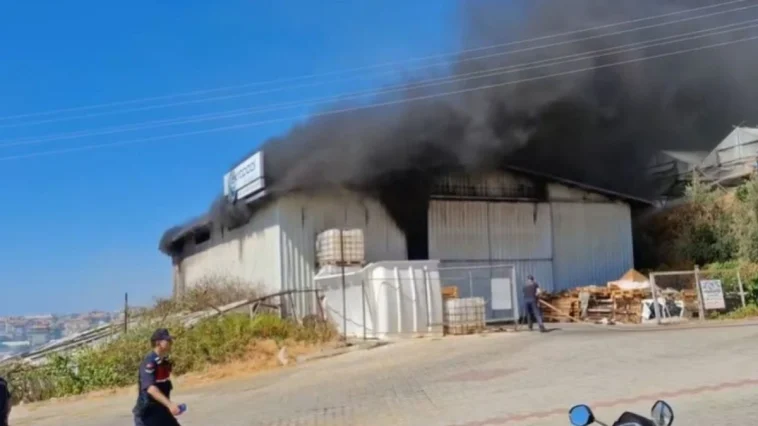 Alanya'da serada çıkan yangın depoya sıçradı