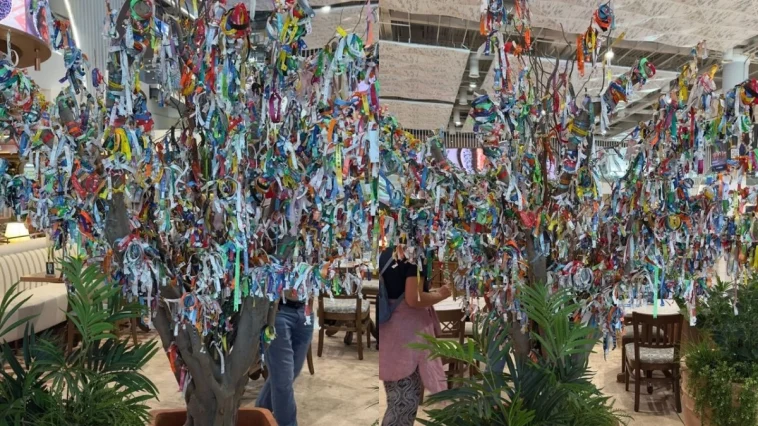 Antalya Havalimanındaki dilek ağacı her şey dahil ağacına döndü