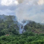Antalya Kemer'de orman yangını çıktı