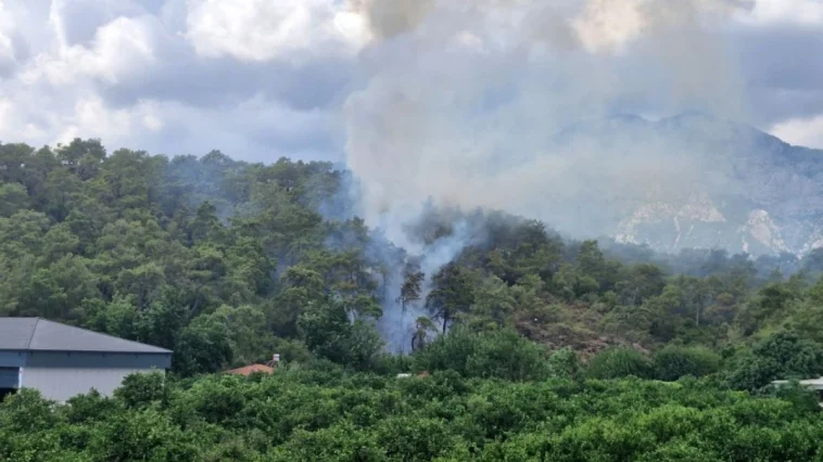 Antalya Kemer'de orman yangını çıktı