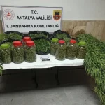 Antalya'da 43 kilo uyuşturucu madde ele geçirildi