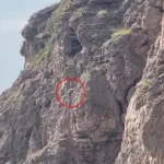 Antalya’da falezlerde mahsur sandılar, meğer ot topluyormuş