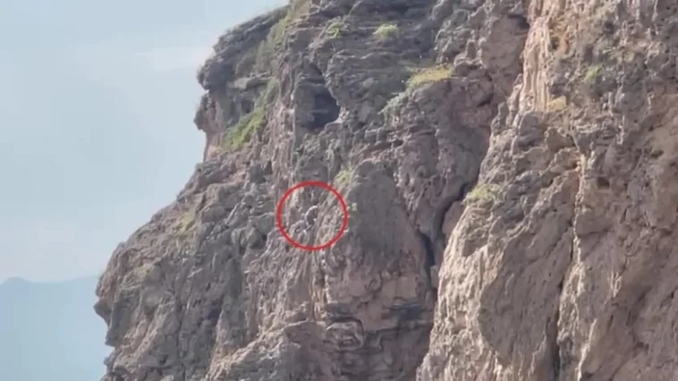 Antalya’da falezlerde mahsur sandılar, meğer ot topluyormuş