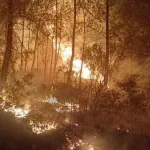 Antalya'da orman yangını büyümeden söndürüldü