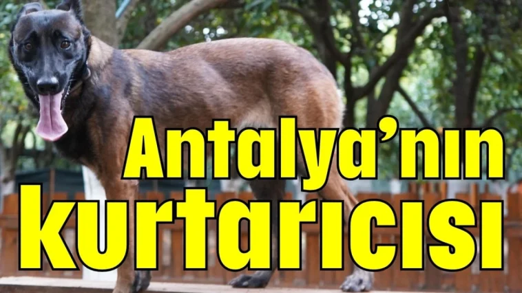 Antalya’nın kurtarıcısı