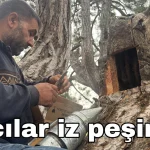 Arıcılar iz peşinde!