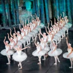 Aspendos 'Kuğu Gölü' ile renklenecek