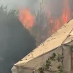 Çalılık yangını seralara zarar verdi