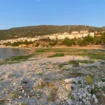 Eğirdir Gölü'nde ekolojik yıkım; sazlıkların kesilmesine tepki