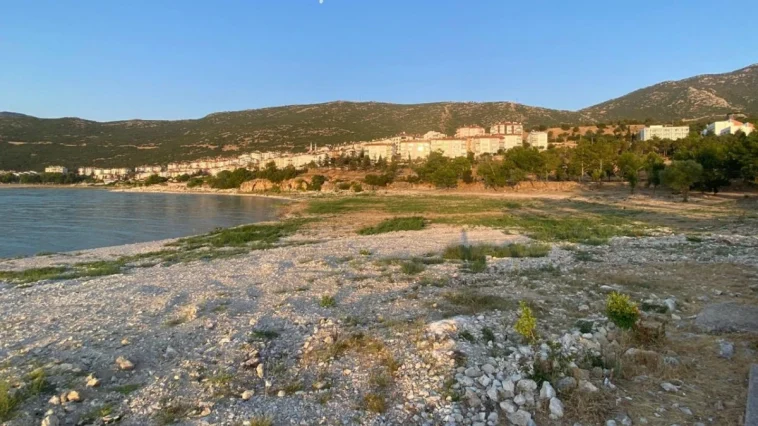 Eğirdir Gölü'nde ekolojik yıkım; sazlıkların kesilmesine tepki