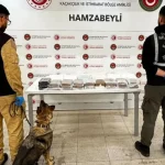 Esrar ve metamfetamine 'gümrük' darbesi