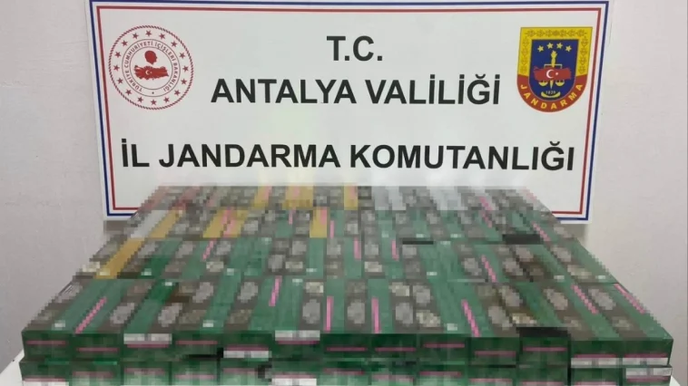 Gazipaşa'da 2 bin paket kaçak sigara ele geçirildi