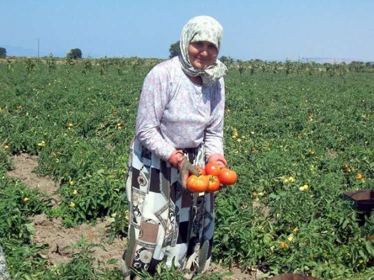 image_750x_68bff3027600b-1