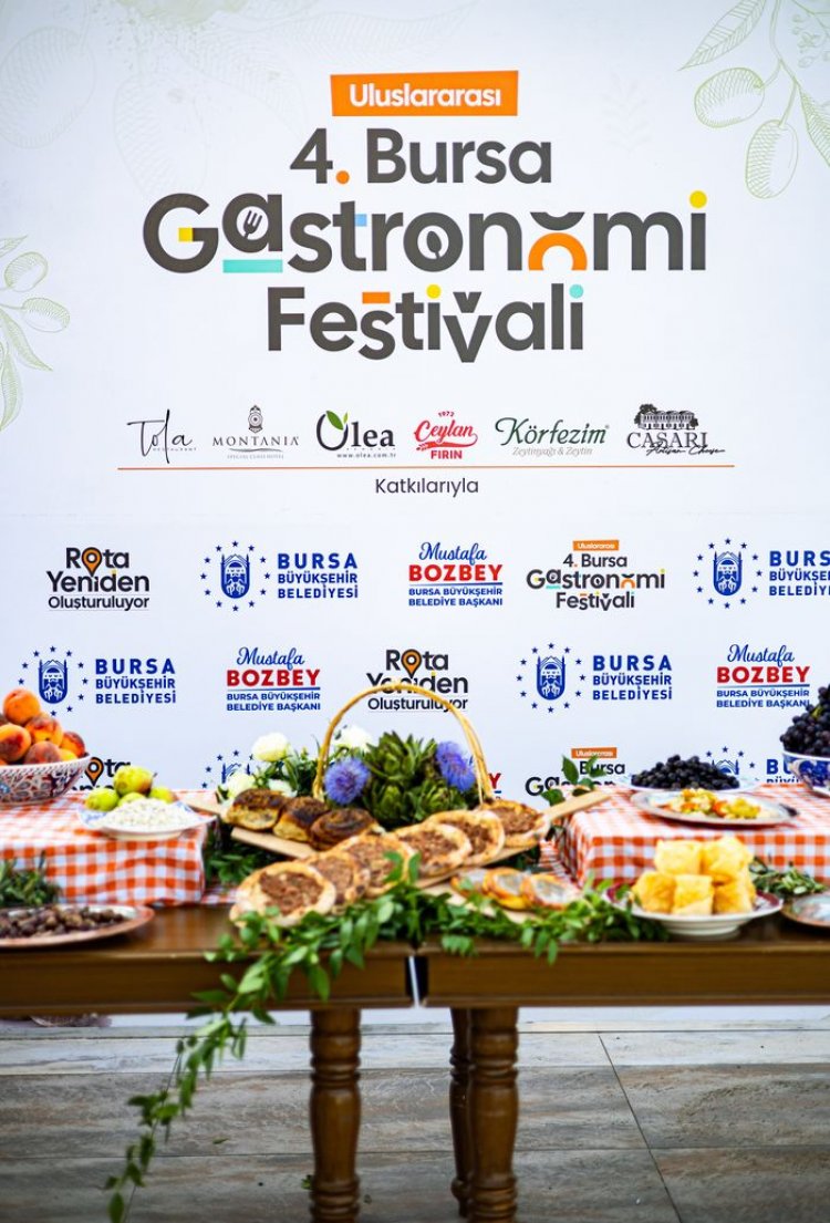 image_750x_68c248e55ef22-1