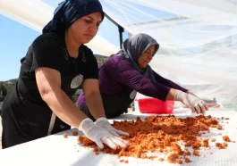 Kadın kooperatiflerinde kış hazırlığı başladı