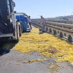 Kamyonet kaza yaptı, patatesler yola saçıldı