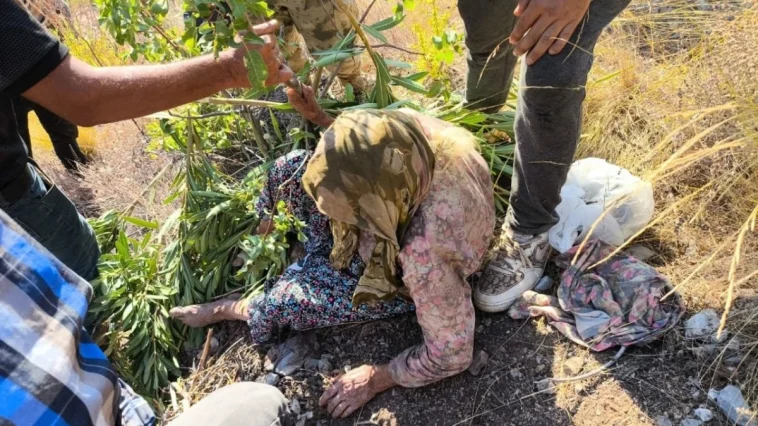 Kaybolan yaşlı kadın evine 300 metre mesafede bulundu